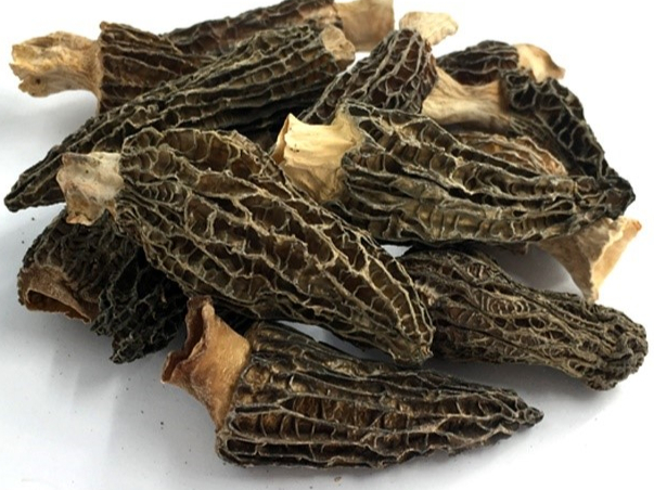 Dried morel mushroom 2